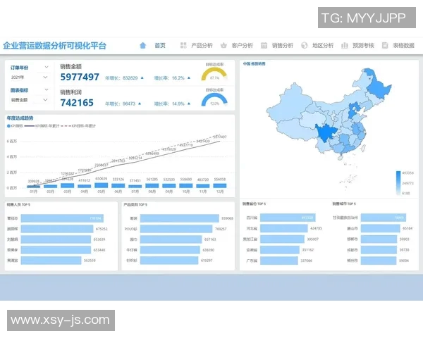 数据分析工作中心理素质的表现及其对职业发展的影响探讨实时数据